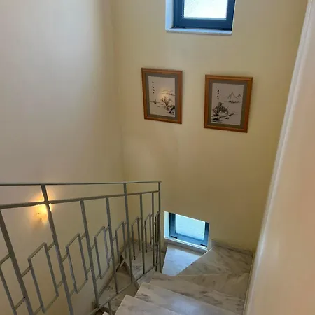 Elizabeth's *